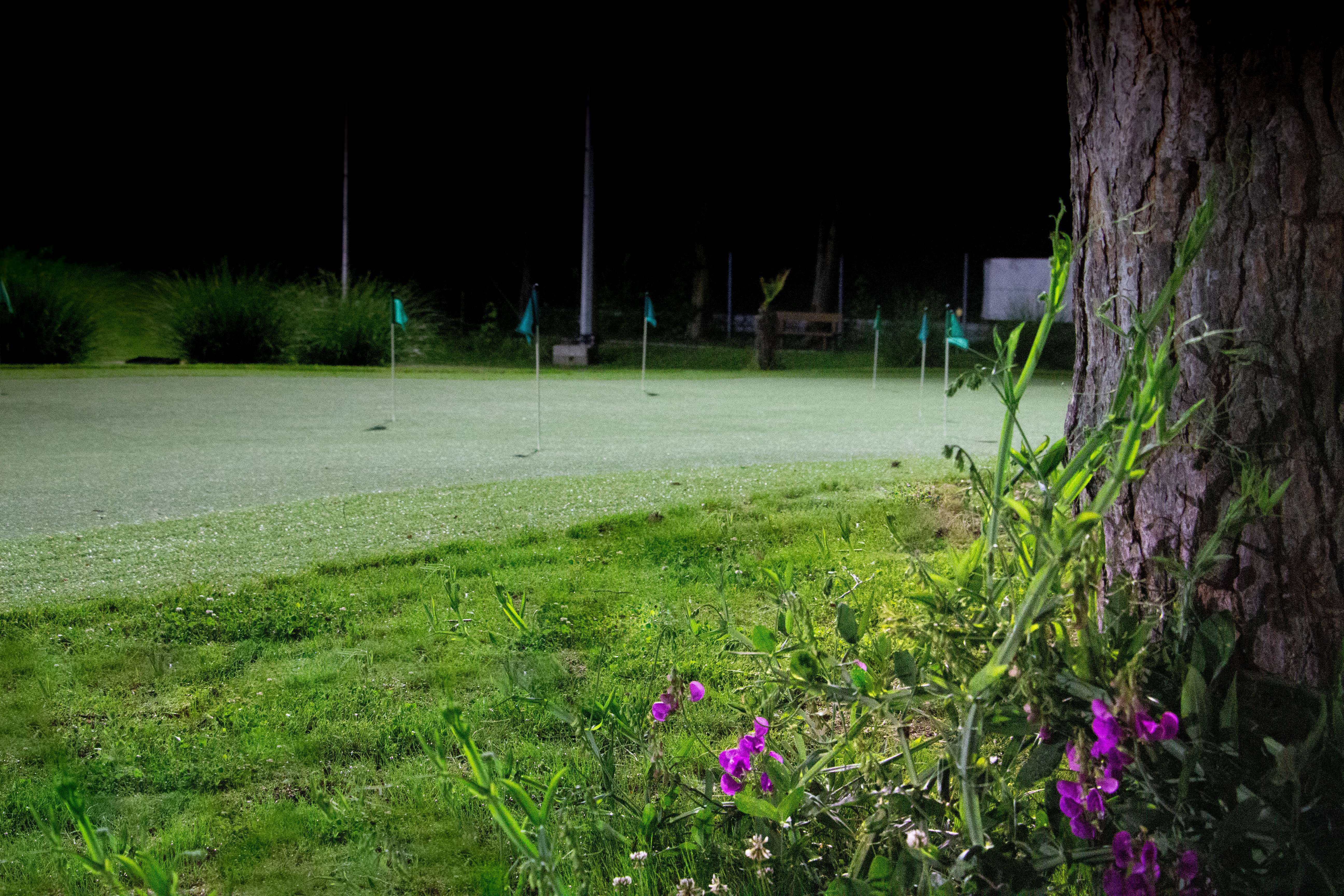 Wir haben wieder geöffnet Bild