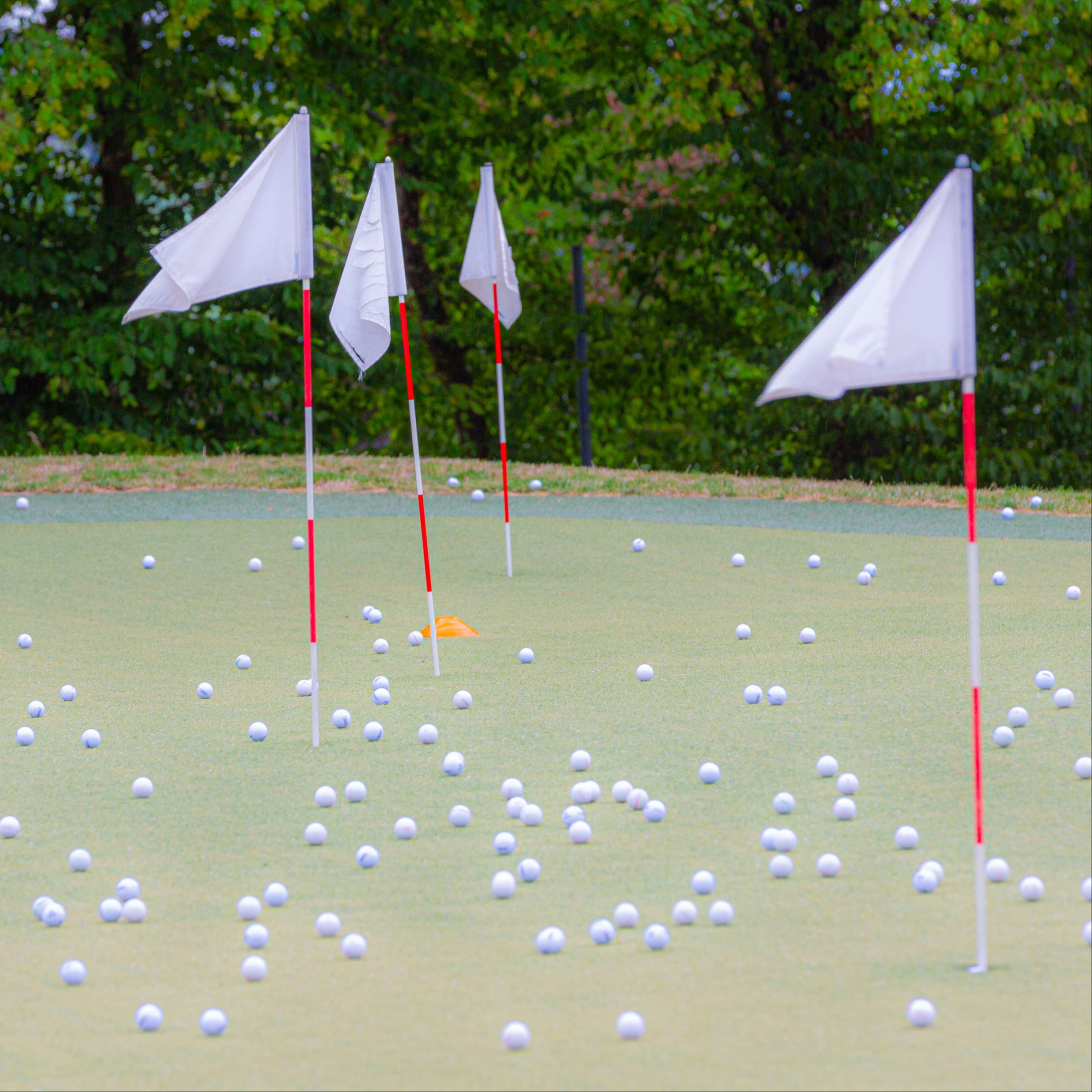 Golf-Platzreifekurs